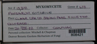 Image Associated With the Occurence